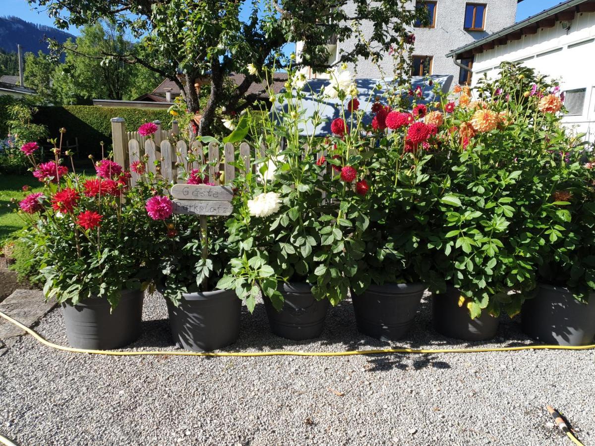 Anita'S Ferienwohnung Nahe Neuschwanstein Reutte Exteriér fotografie