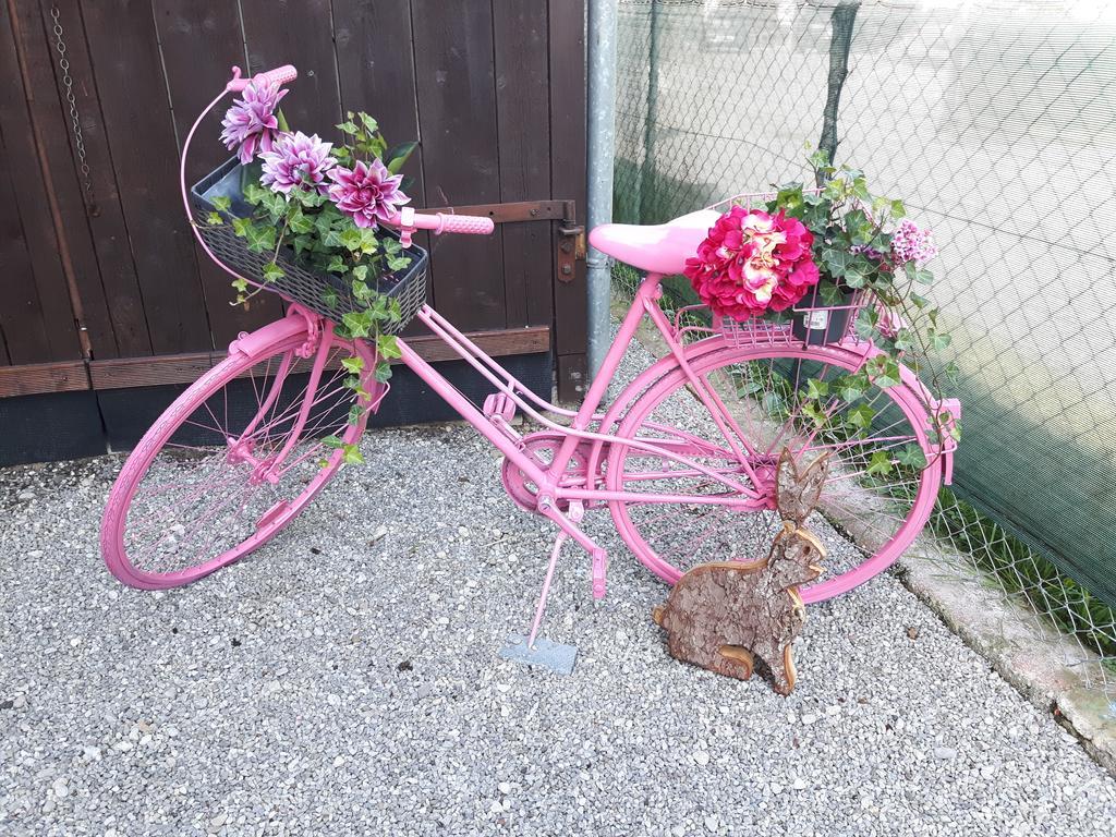 Anita'S Ferienwohnung Nahe Neuschwanstein Reutte Exteriér fotografie